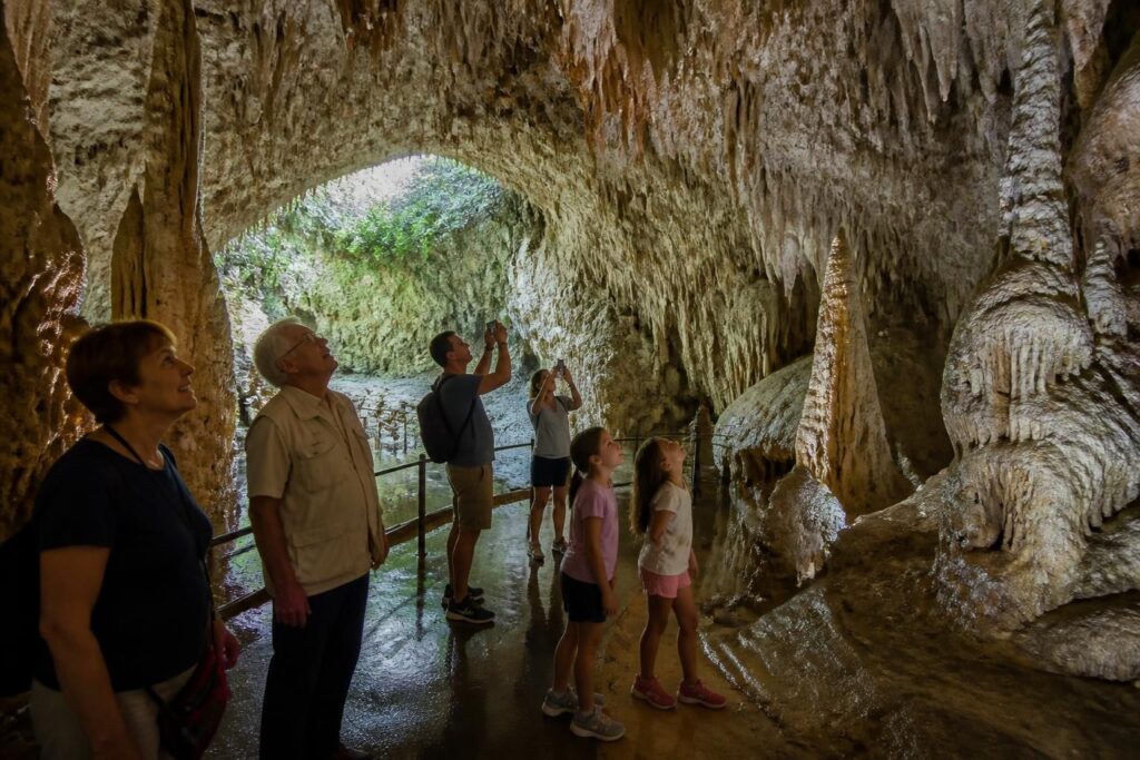 découvrez la cova de la sal, un trésor naturel idéal pour une sortie en famille. explorez ses merveilles géologiques et vivez une aventure inoubliable au cœur de la nature.